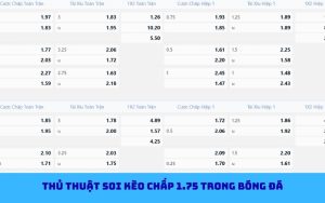 Cách tính thắng thua kèo chấp 1.75