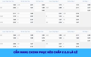 Kinh nghiệm chơi kèo chấp 2 2.5 bóng đá