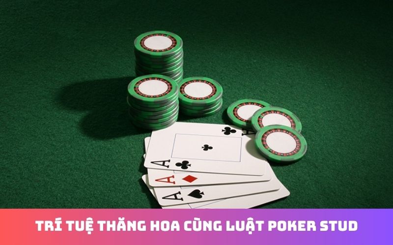 Kinh nghiệm theo dõi bài ngửa trong Poker Stud